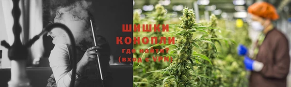 гашик Арсеньев